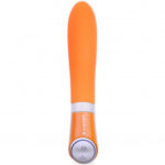 B Swish Bgood Deluxe Dildovibrator